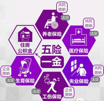 信息咨詢服務的價格、批發與廠家指南